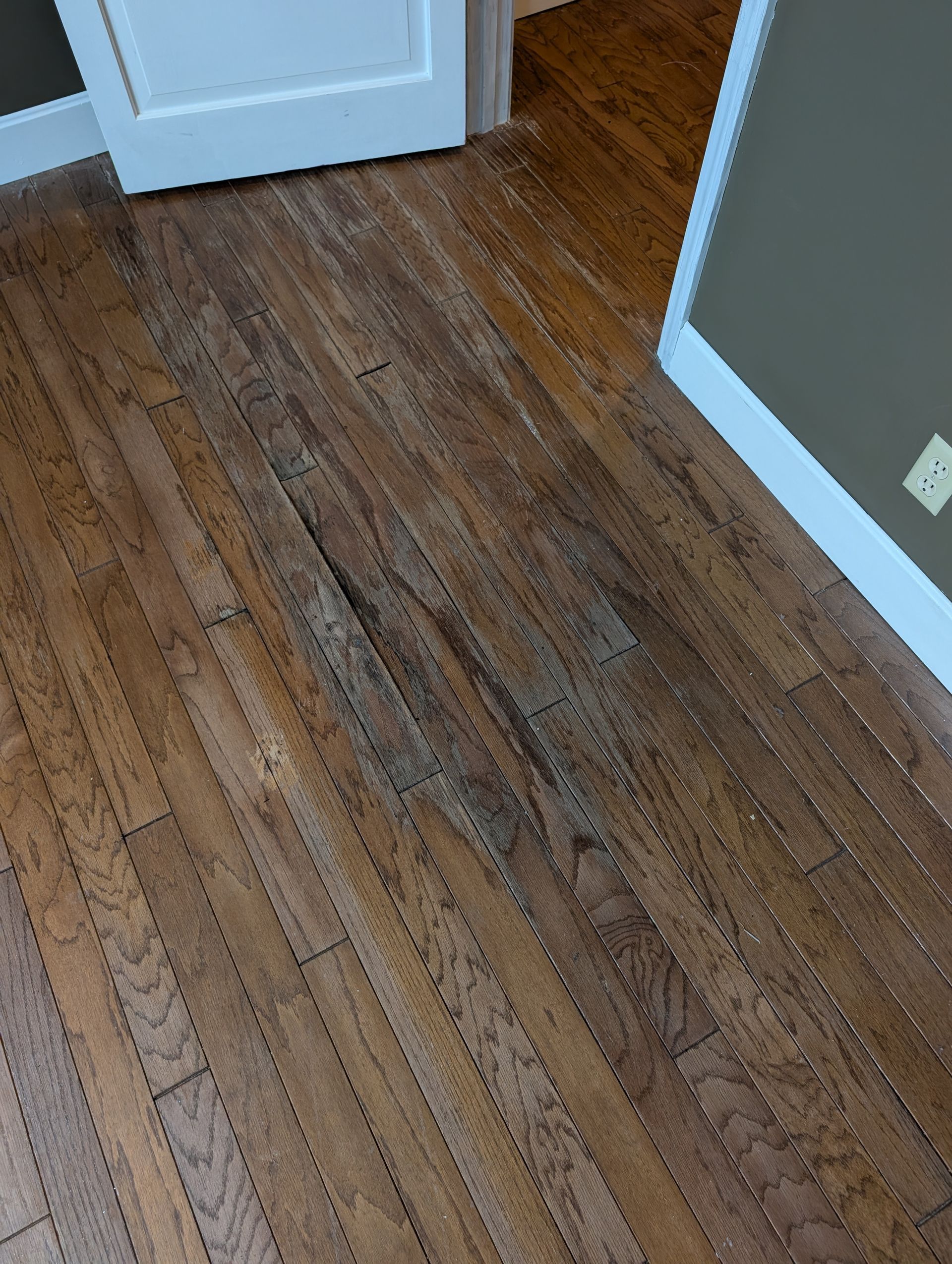 Worn hardwood floor in a hallway with white baseboards and a blue door frame.