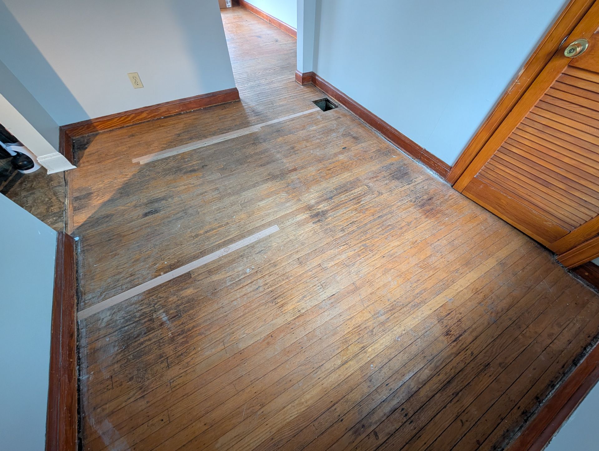 Empty wooden floor in a hallway with blue walls and a louvered door