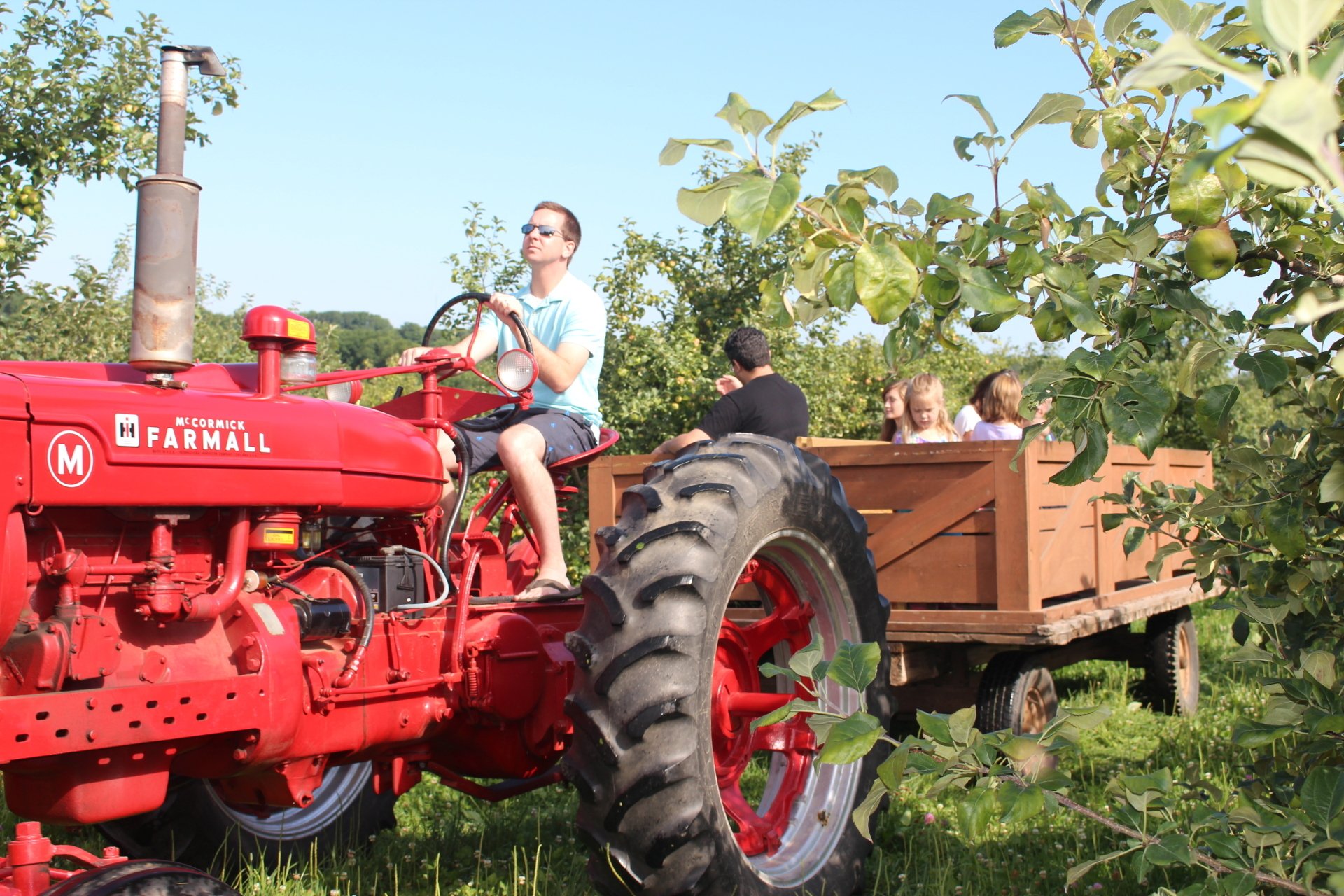 bushel-and-a-peck-market-apple-orchard-in-chippewa-falls-wi