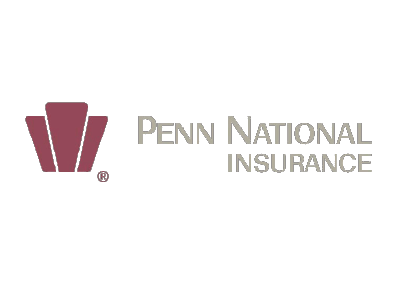 Penn National Insurance logo with burgundy symbol and gray text.