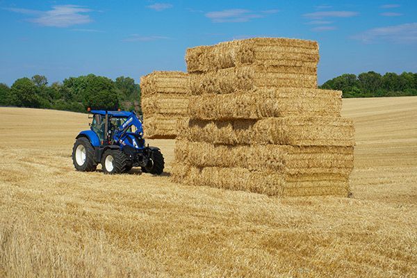 Blue tractor near stacked rectangular hay bales in a harvested field, blue sky.