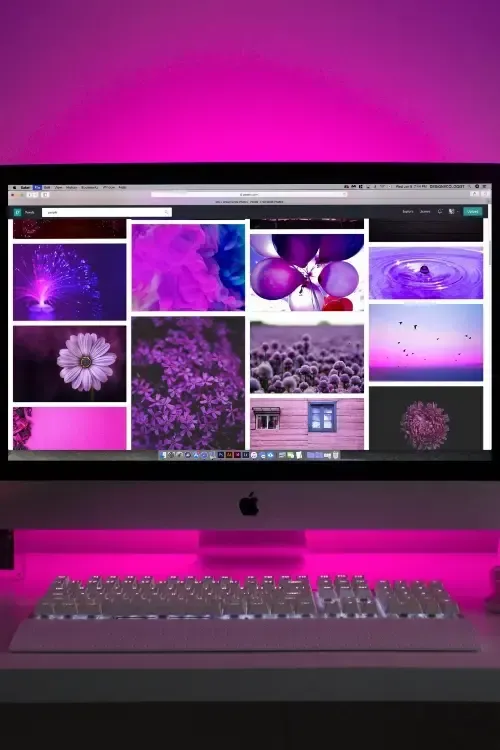 IMac affichant une galerie d'images à dominante rose avec des motifs de papillons et de fleurs dans une pièce éclairée en magenta