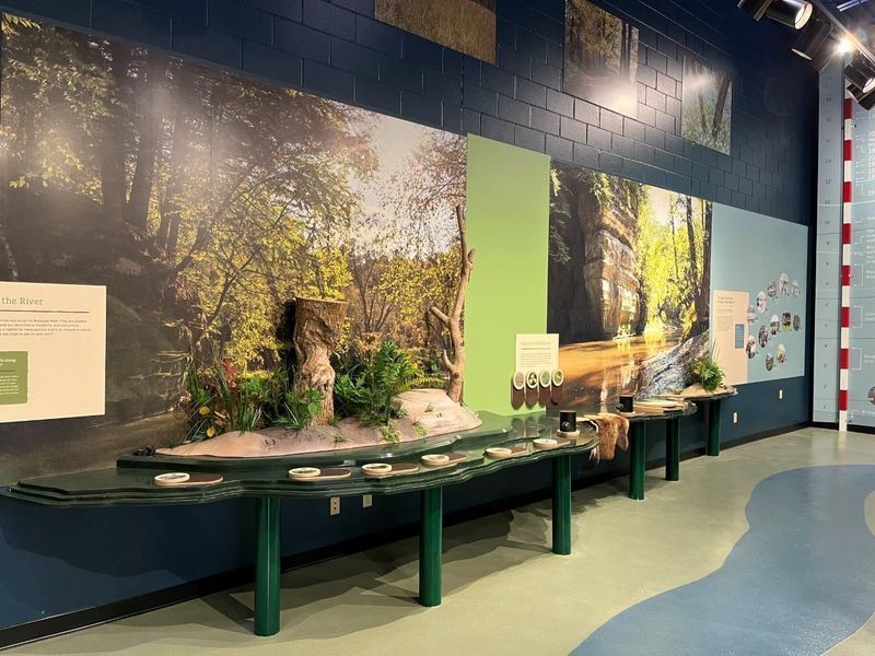 Museum exhibit with a forest backdrop, display tables, and information panels.