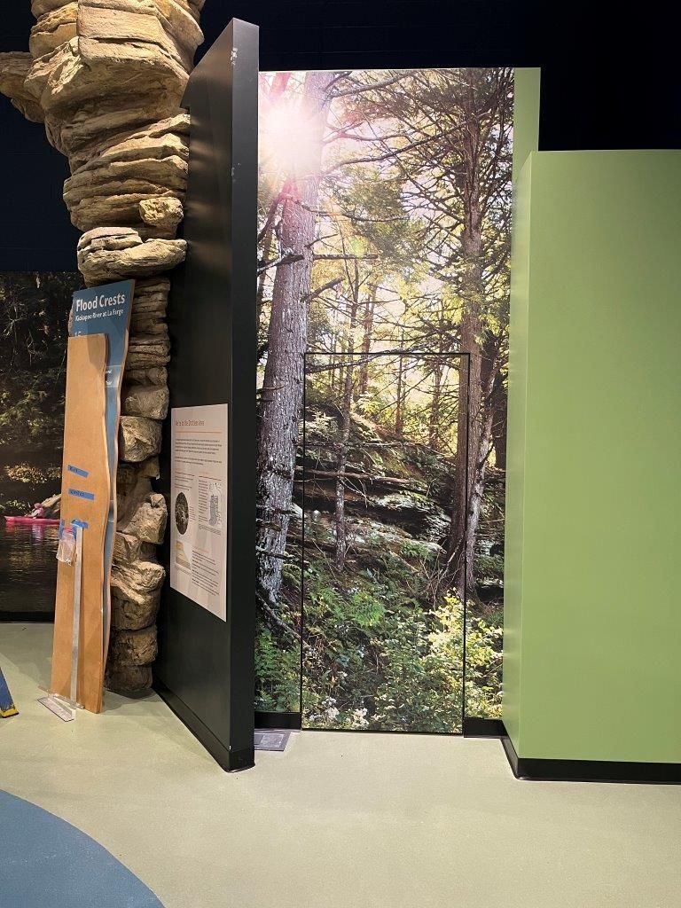 A forest mural backdrop in a museum. A dark panel and stone structure are in front. A green wall is on the right.