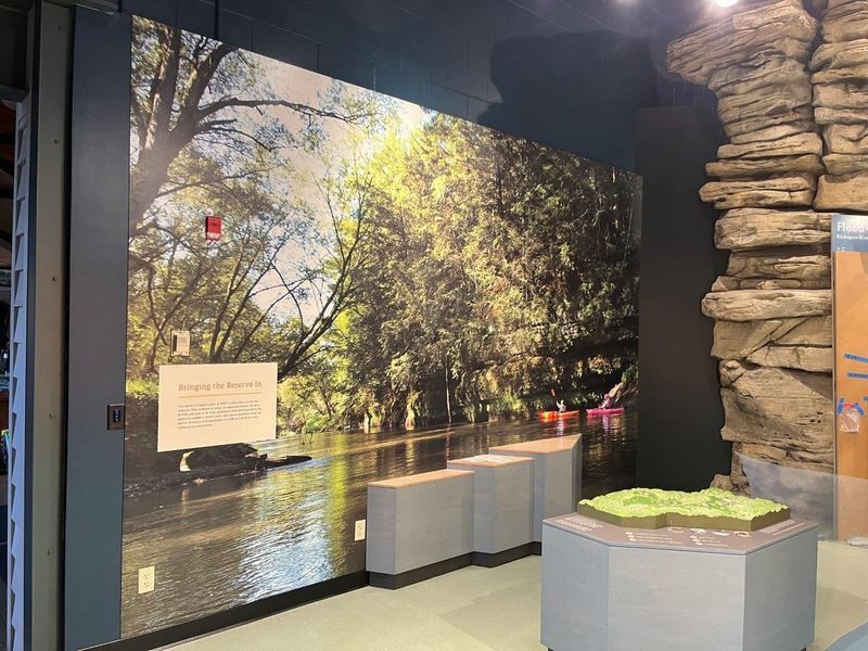 Exhibit wall with a river scene mural, gray pedestals, and a rock wall.