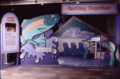 A museum exhibit about salmon. A large cartoon fish leaps over water. Purple, blue, and white colors.