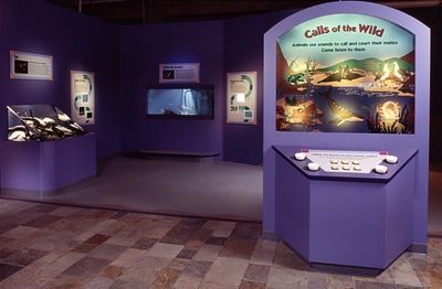 Purple museum exhibit titled 