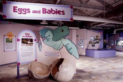 Museum exhibit: 