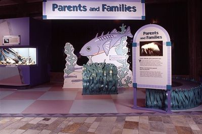 Exhibit on 