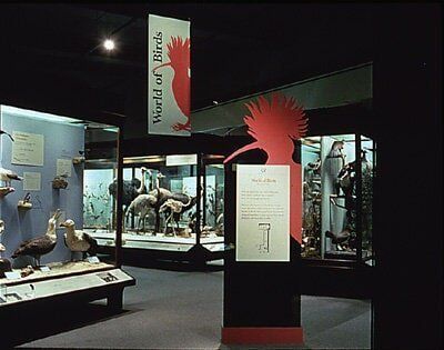 Museum exhibit 
