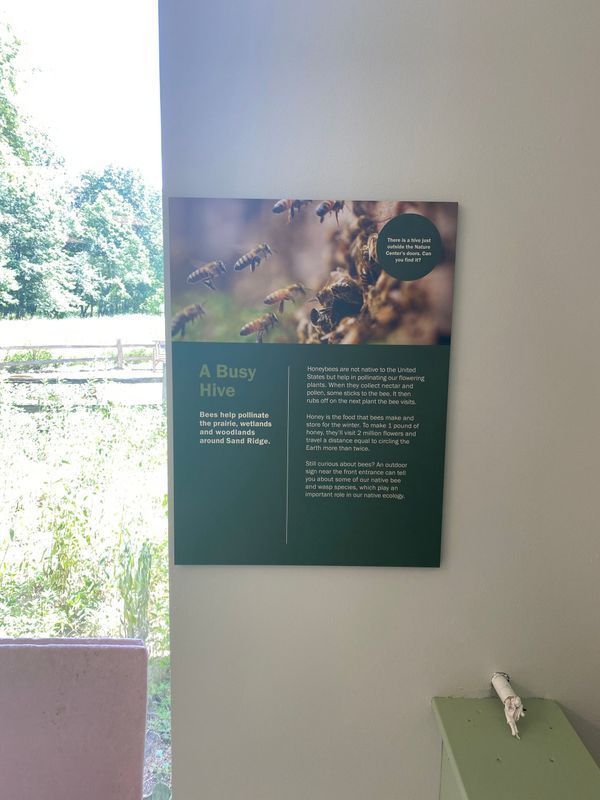 Sign about bees; photo of bees on hive. Green and white text on a wall, with a forest visible in the background.