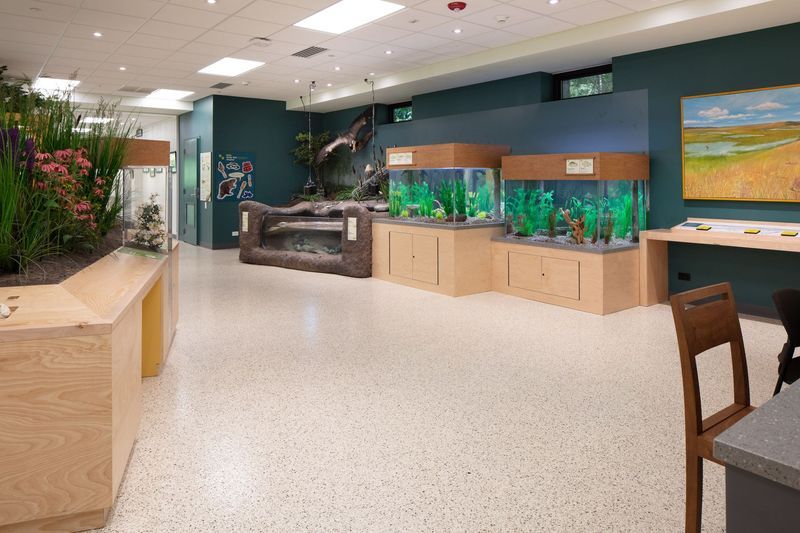 An exhibit hall with aquariums, dioramas, and a wooden table. The floor is light-colored speckled.