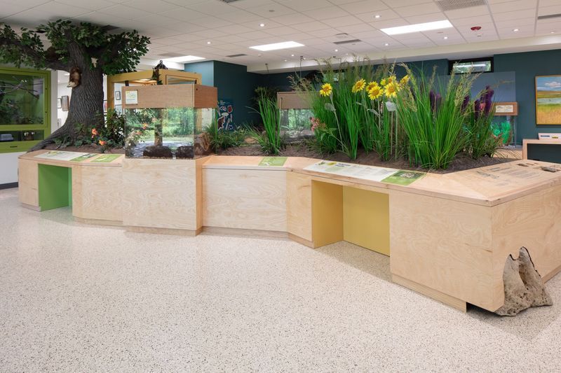 An indoor exhibit featuring a tree and plants with built-in displays and open cubbies in an educational setting.