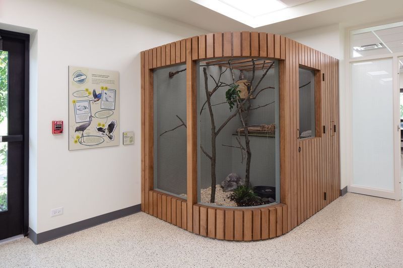 Wooden bird aviary in a corner of a bright room with trees and a bird inside, with a painting on the wall.