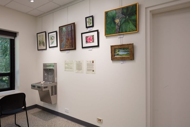 Gallery wall with framed art. A water fountain and door are also visible.