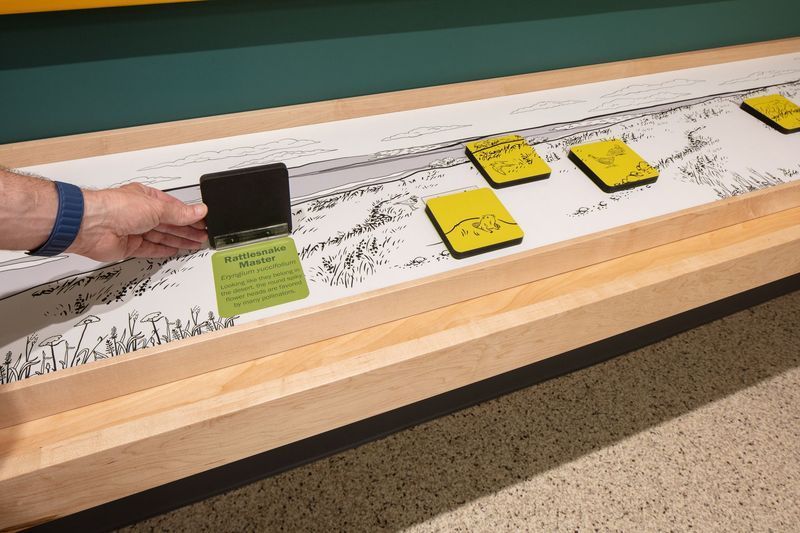 Hand placing a black card on a display. Cards in front are yellow. Display depicts a black and white landscape.