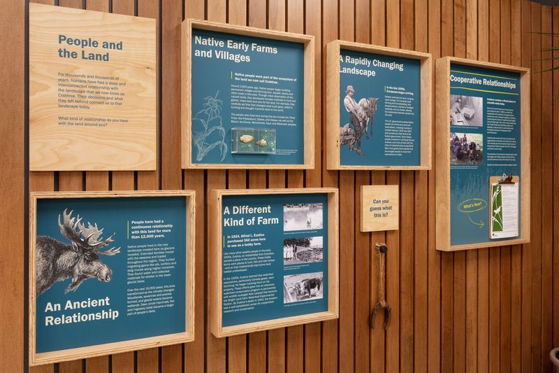 Wall display with five framed educational panels and a small sign, set against vertical wood paneling.