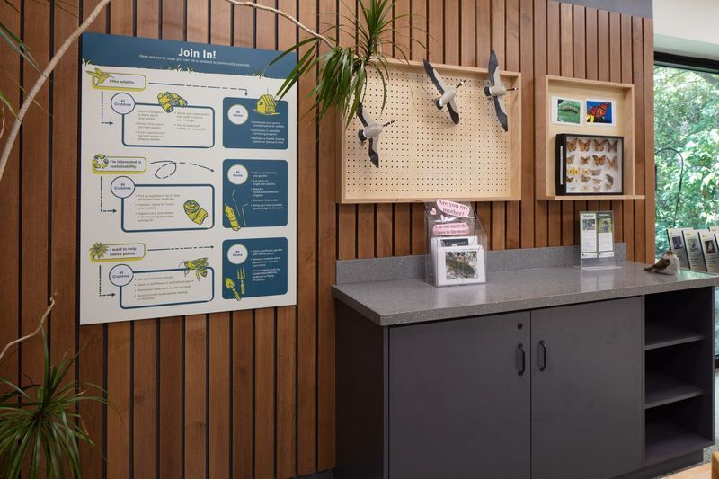 An interpretive center display with information posters, taxidermy birds, and brochures against wood paneling.