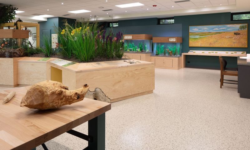 An interior of a nature center with exhibits and wooden tables.