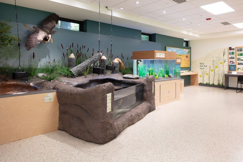 Indoor exhibit with a pond display, aquarium, and wildlife models, including a flying eagle.