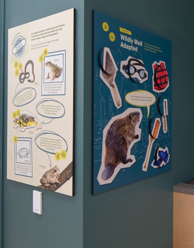 Two educational wall displays on a teal wall. 
