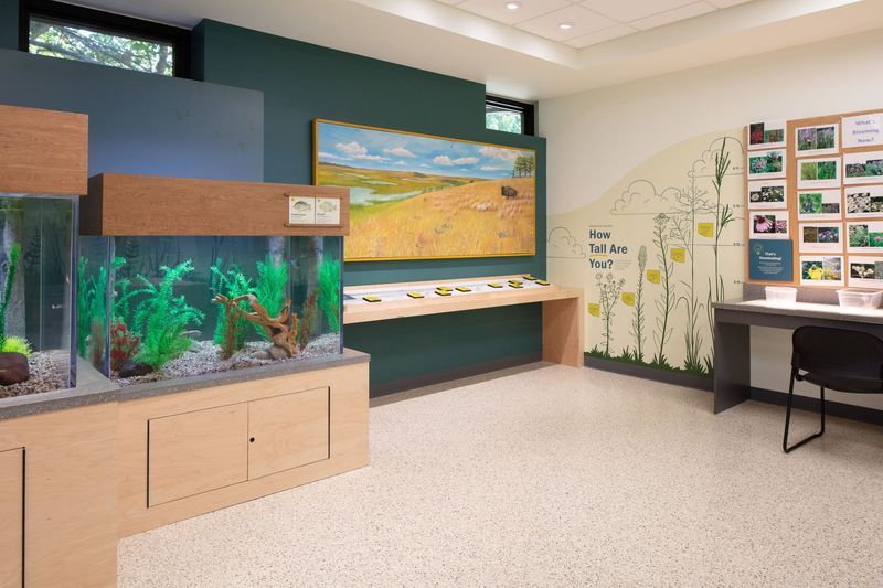 Indoor exhibit with aquariums, mural, and educational displays.