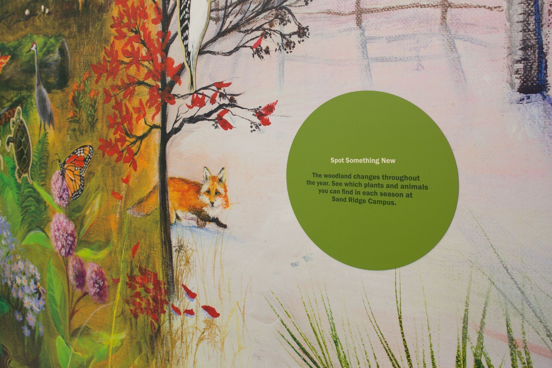 Colorful forest scene with fox, autumn leaves, and a green information circle.