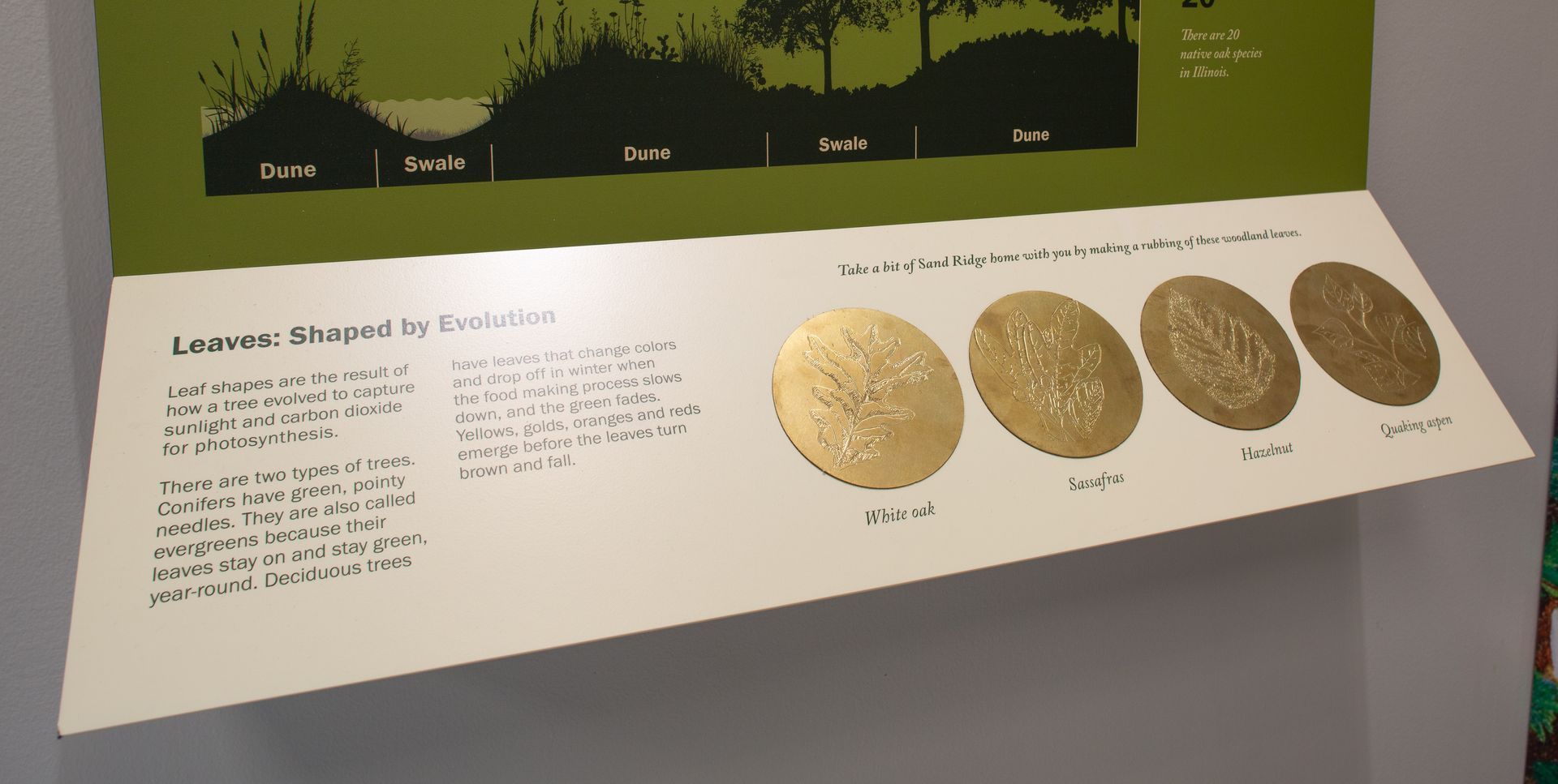 Display with text and gold circular plates illustrating scientific concepts.