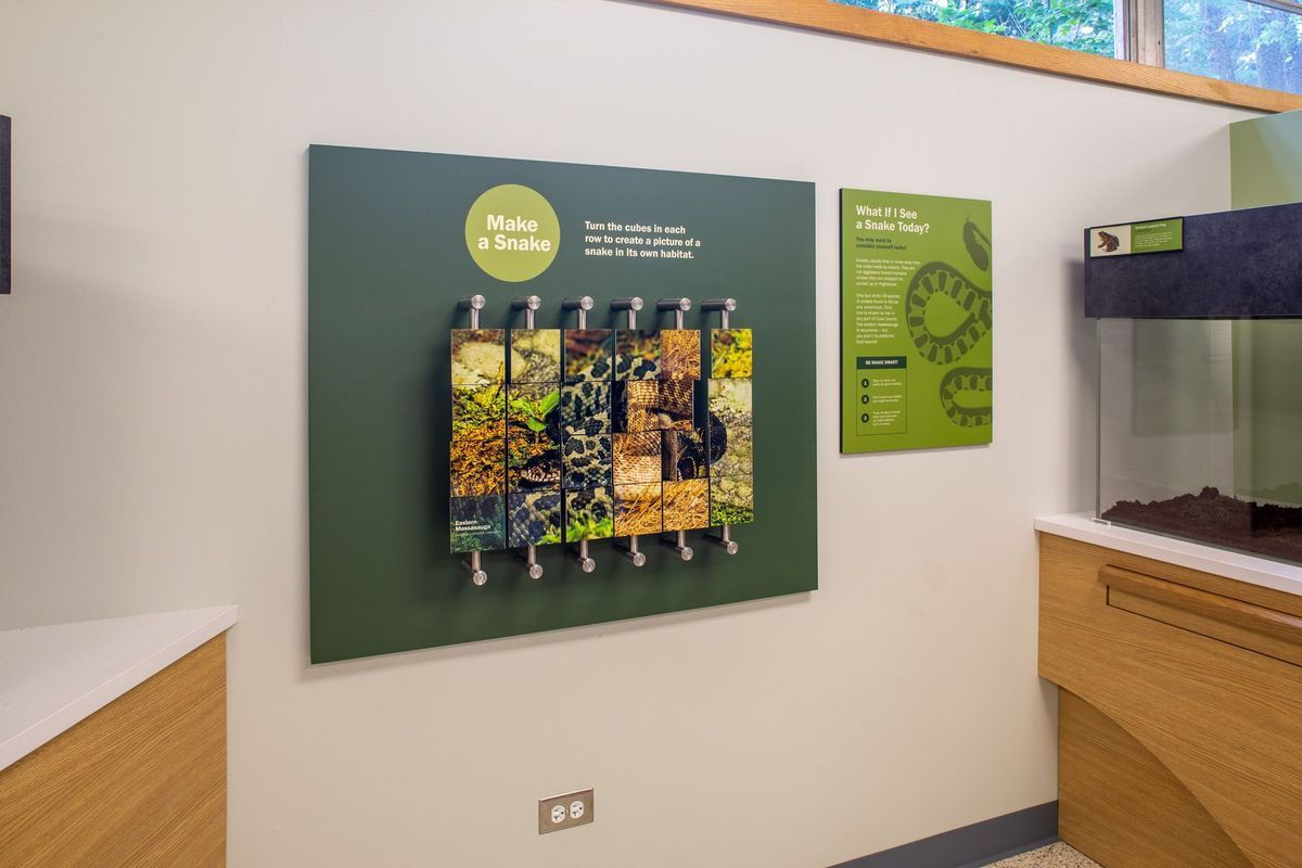 Wall display about snakes showing habitat samples. Dark green background, light green text.