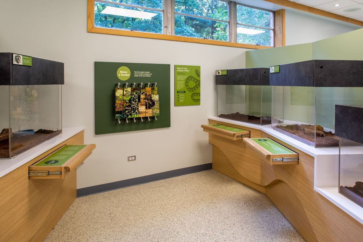 Interior view of a museum exhibit with terrariums and educational displays. Beige and green tones, bright lighting.