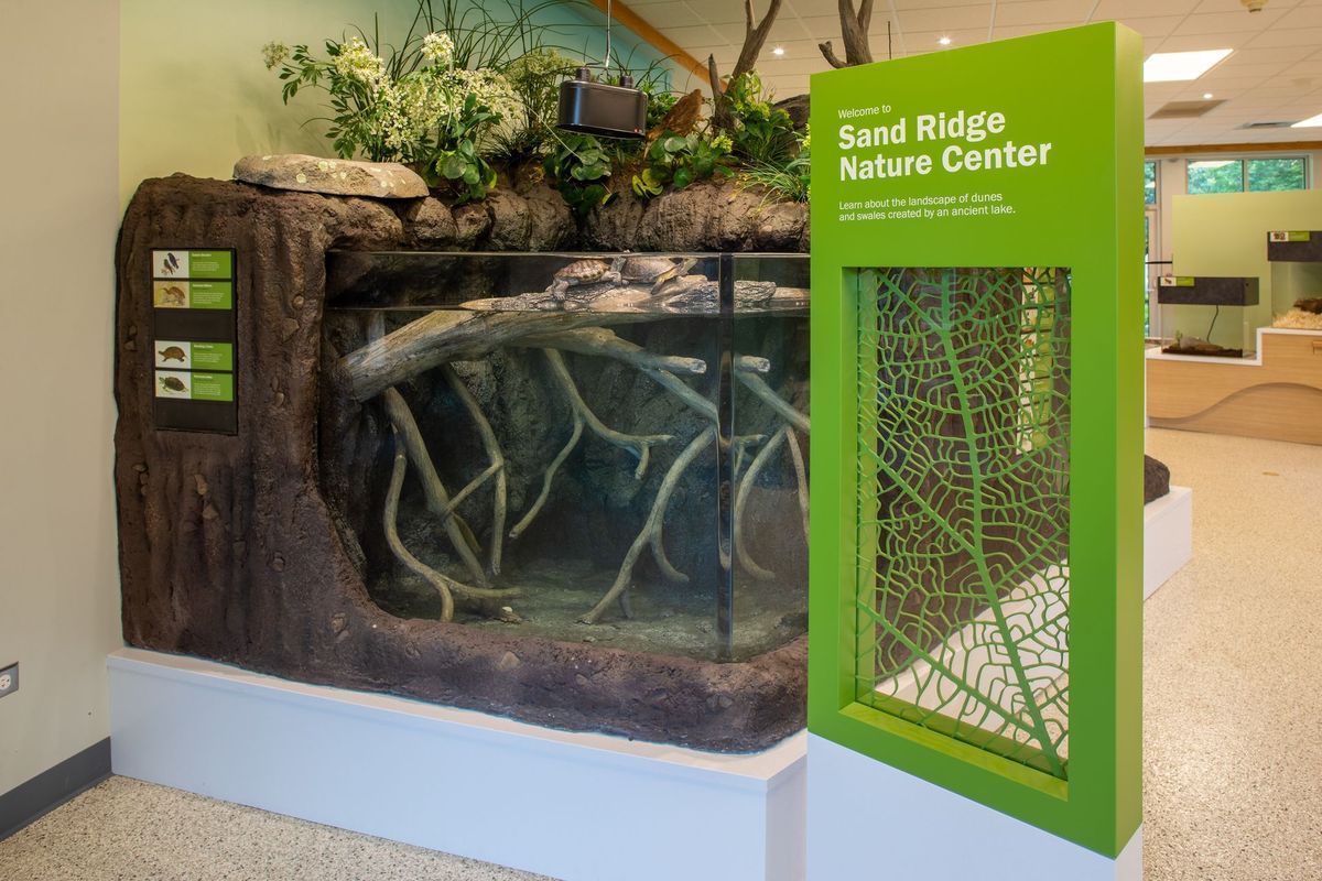 Aquarium exhibit at Sand Ridge Nature Center, with tree roots and green accents.