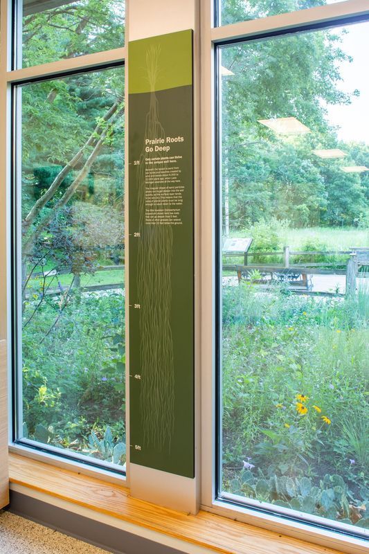 Sign next to a window with text about plant roots; lush green plants outside.
