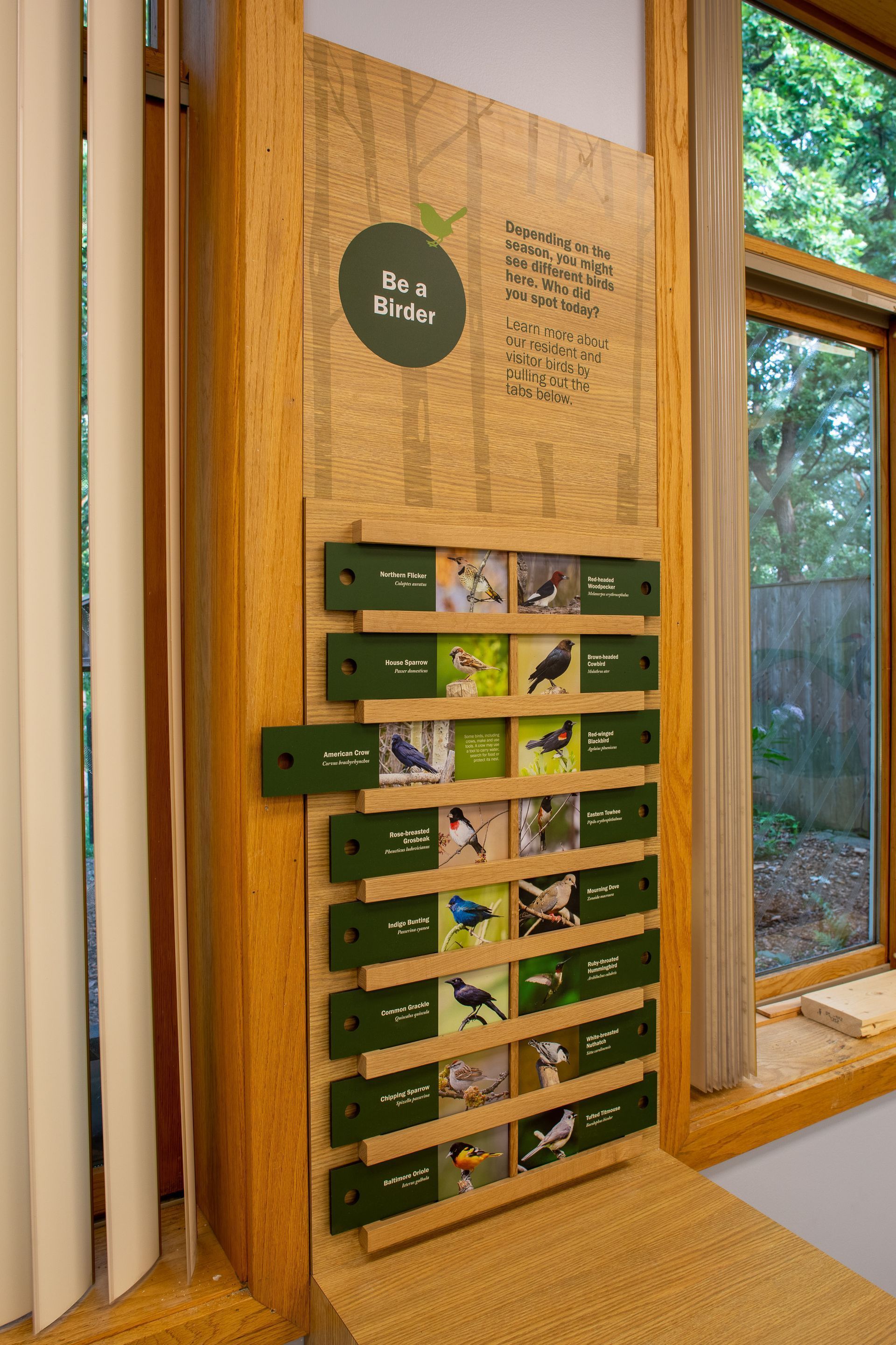 Bird identification display with photos and text in a wooden interior near a window.