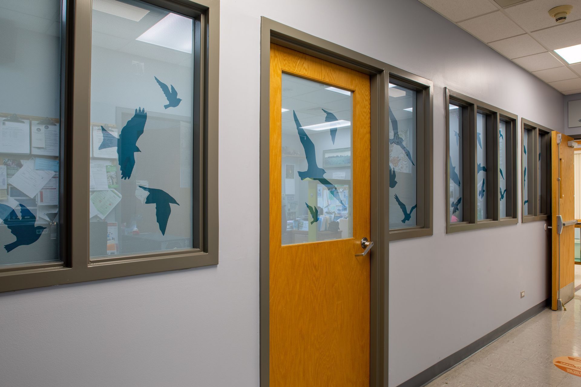 Hallway with windows featuring teal bird silhouettes; yellow door.