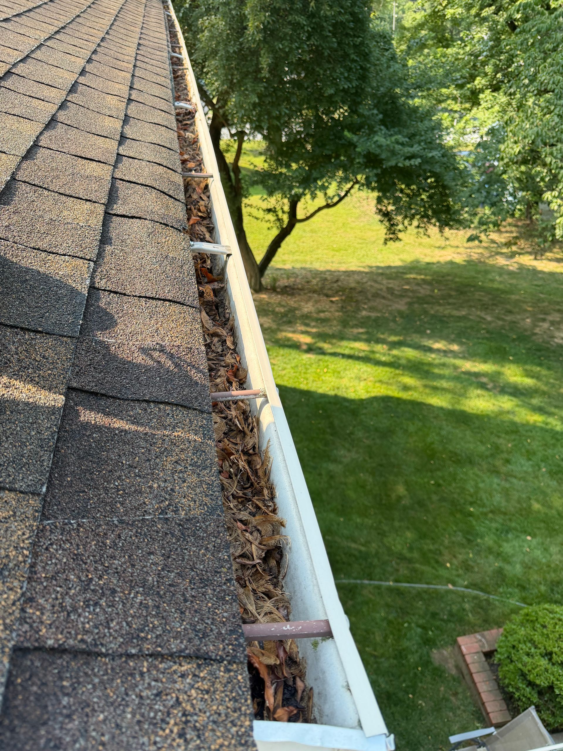 Roof shingles and gutter beside a green lawn and trees on a sunny day