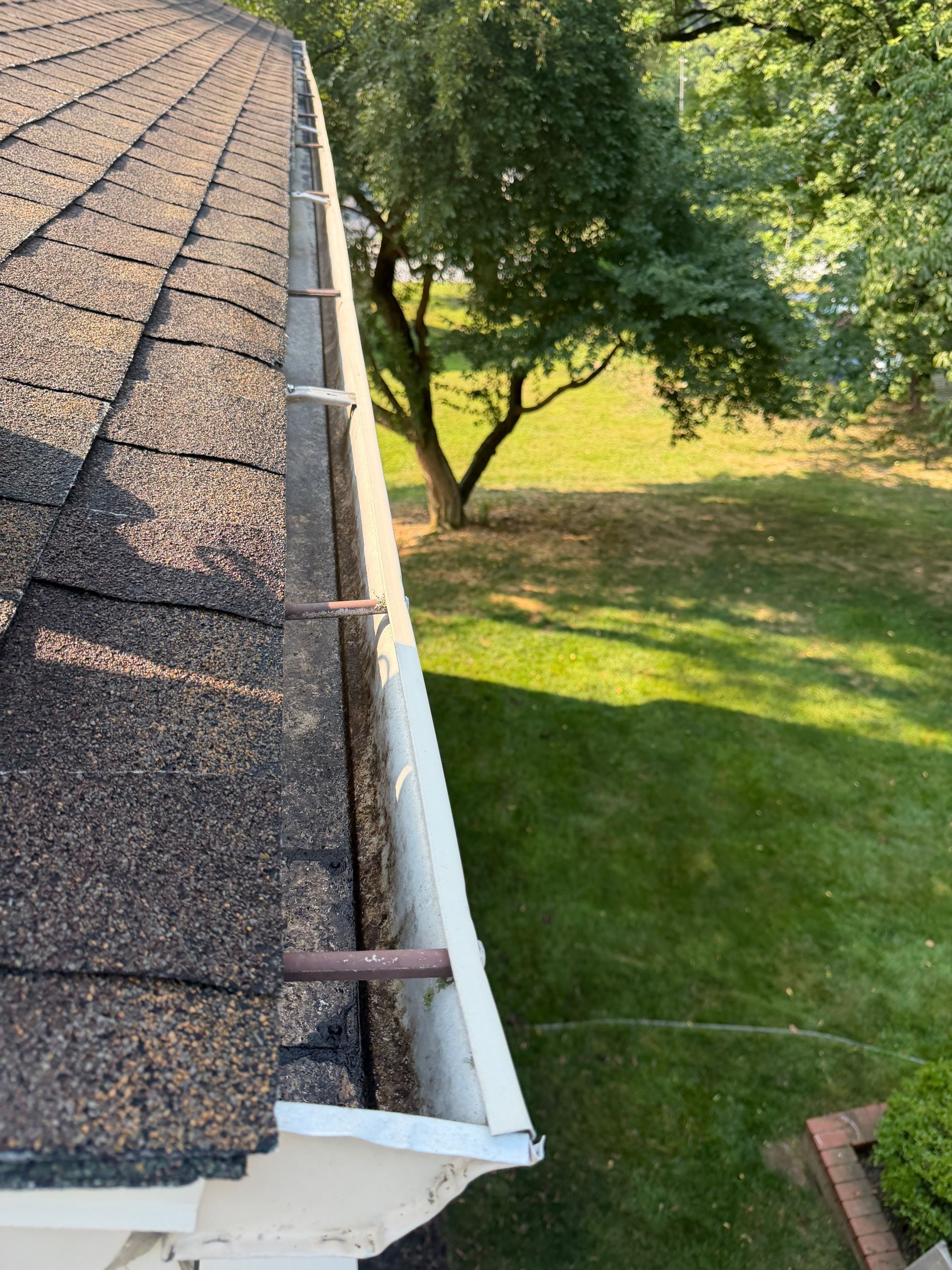 Roof eave with gutter and shingles overlooking a green yard with trees