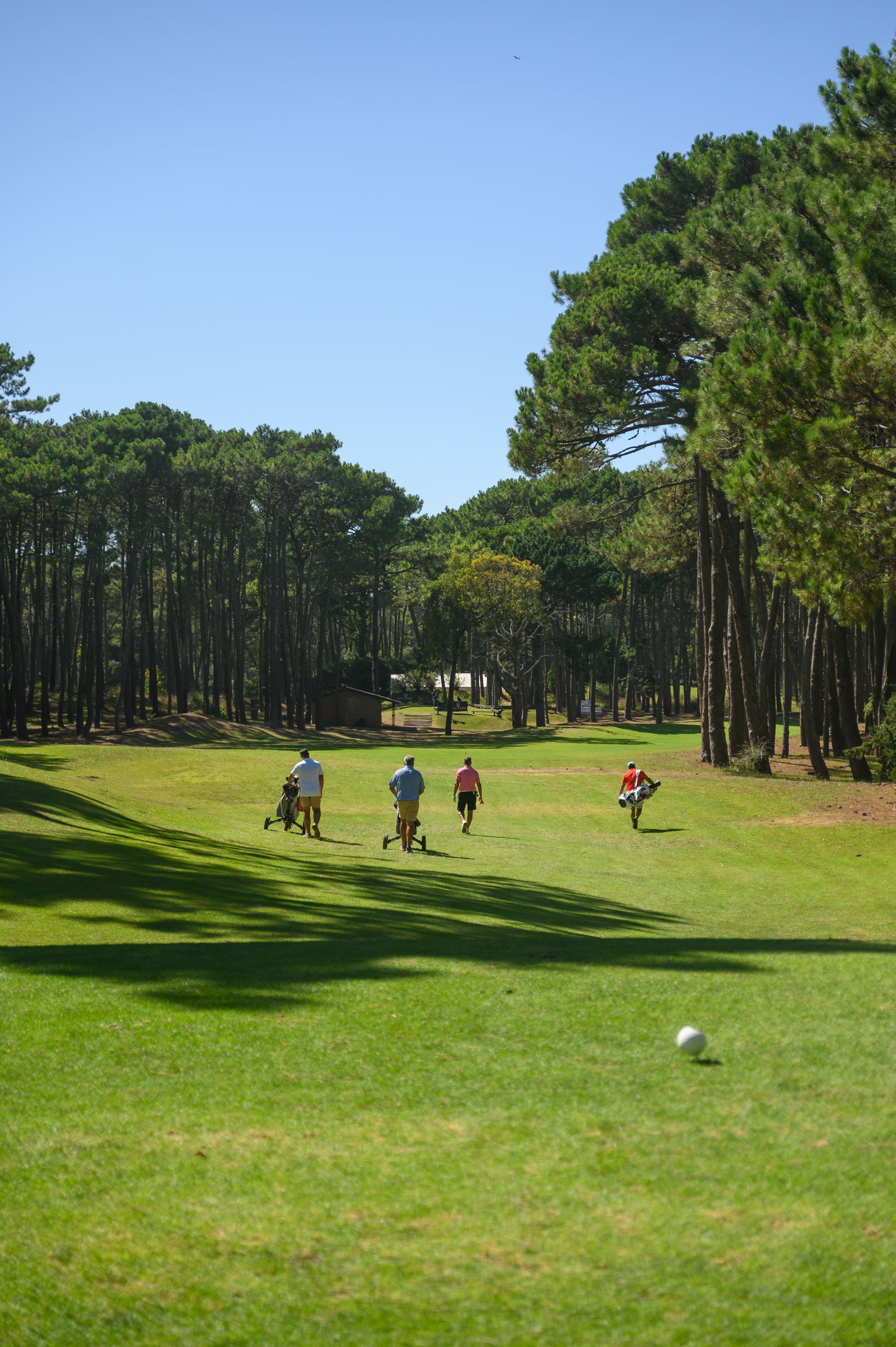 Gente jugando al golf en un campo verde con árboles bajo un cielo azul brillante.