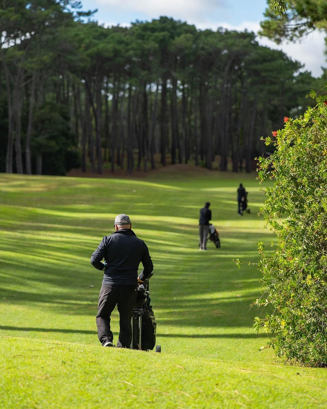 Golfistas en un fairway verde. Un hombre está de pie junto a su bolsa de golf. Árboles al fondo.