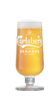 Un bicchiere di birra Carlsberg, dorato con schiuma bianca, con condensa visibile.