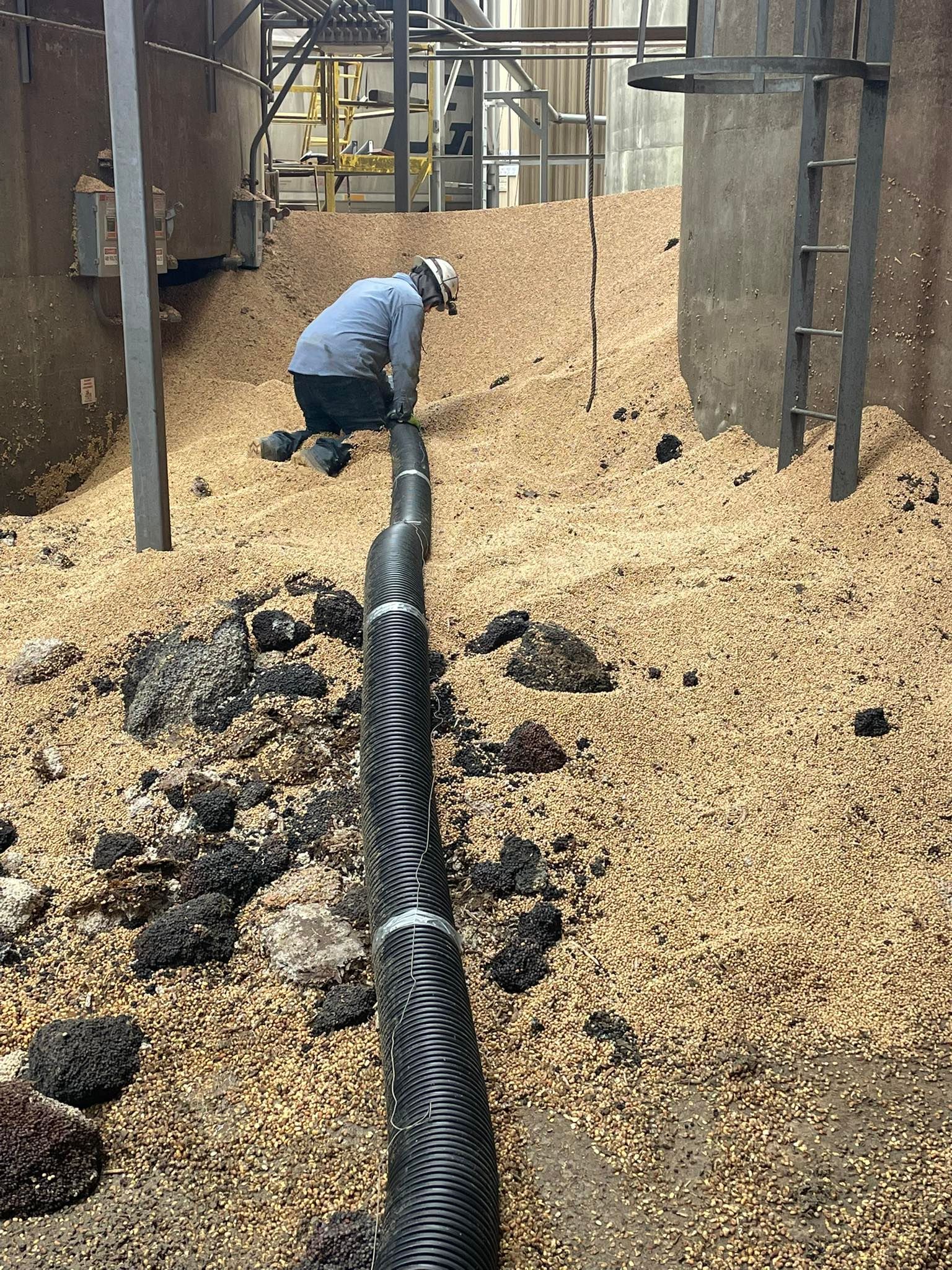 Worker kneeling in grain bin, inspecting black hose amidst tan grain. Industrial setting.