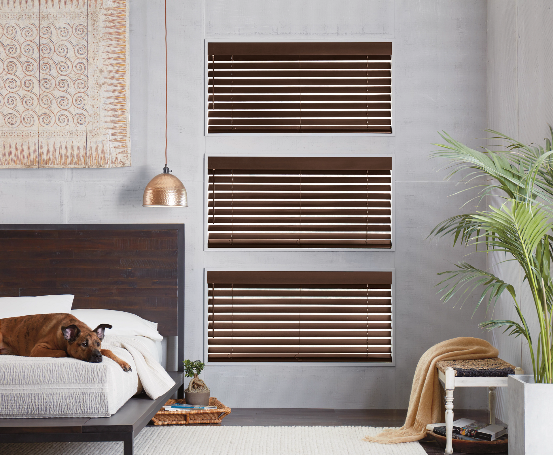 Hunter Douglas Parkland® Wood Blinds on three small bedroom windows with a dog on the bed