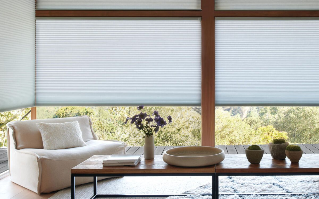 Hunter Douglas Designer Roller Shades