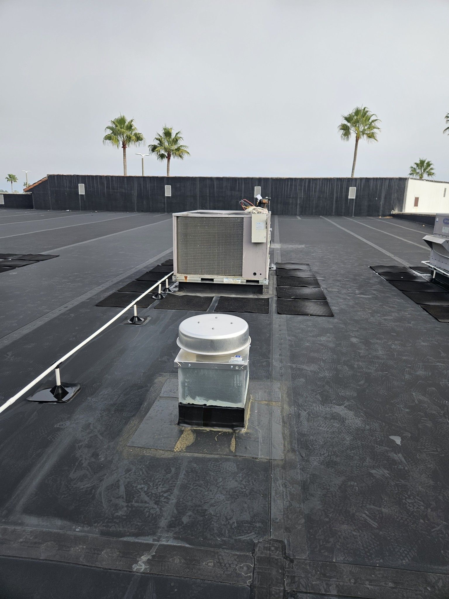 Rooftop with HVAC units and vent pipes on a flat black roof, with palm trees and a cloudy sky beyond.