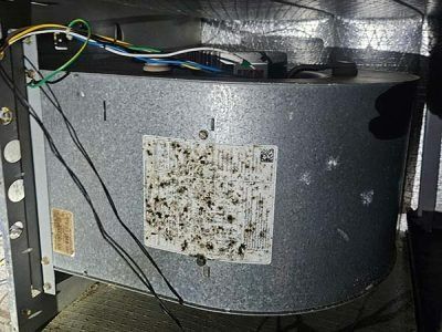 Dirty HVAC unit with wiring and insulation inside a wall cavity