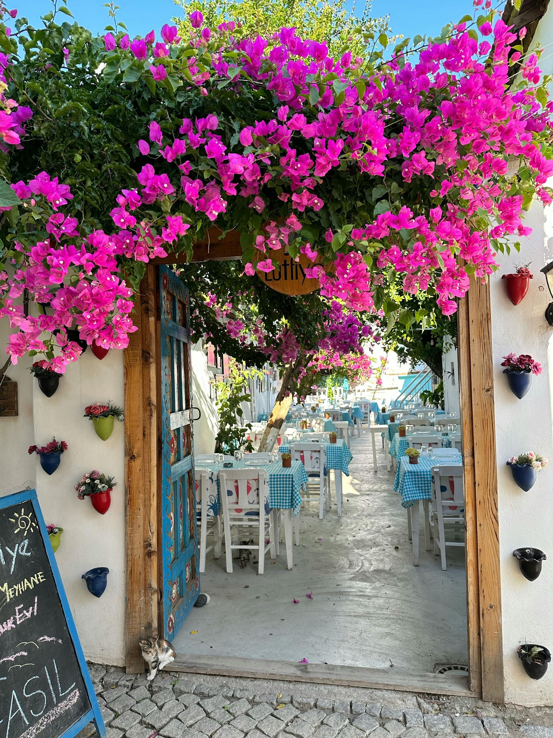 Cafe entrance with pink bougainvillea arch, tables with blue checkered cloths, and flower pots.