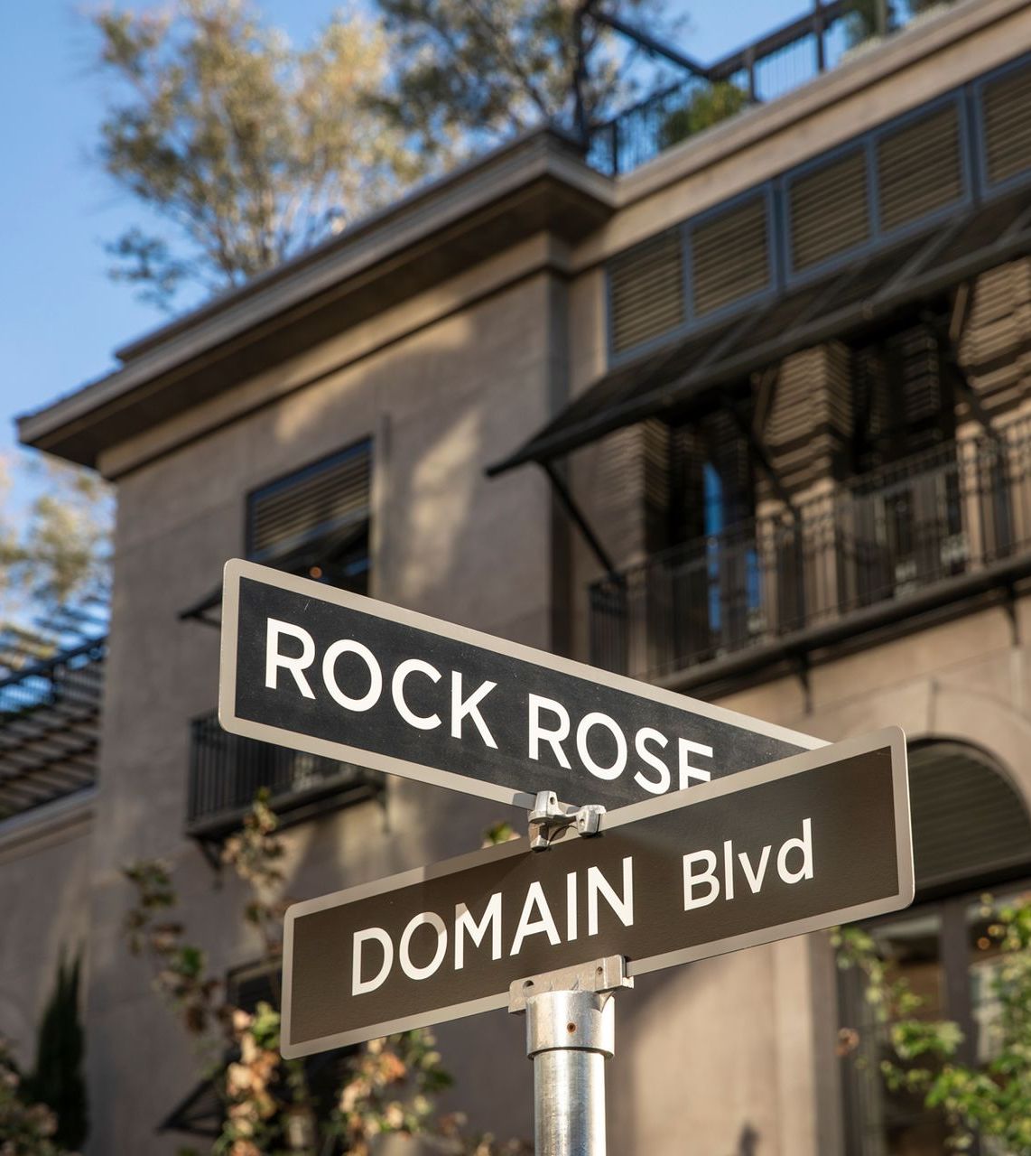 The Standard at Domain Northside Apartments in Austin, TX