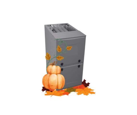 Fall