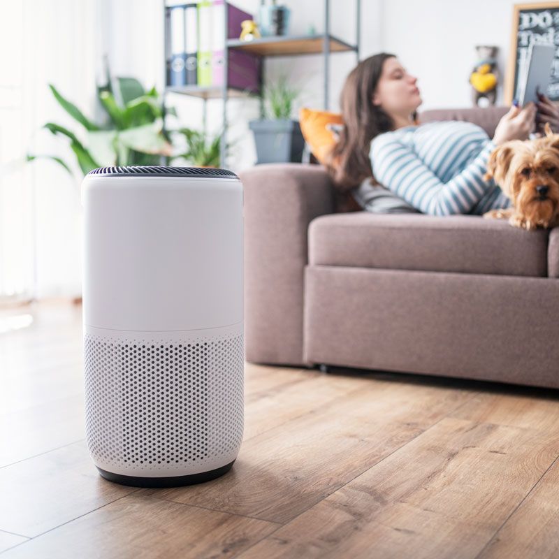 White air purifier in a living room with a woman on a sofa and a small dog nearby
