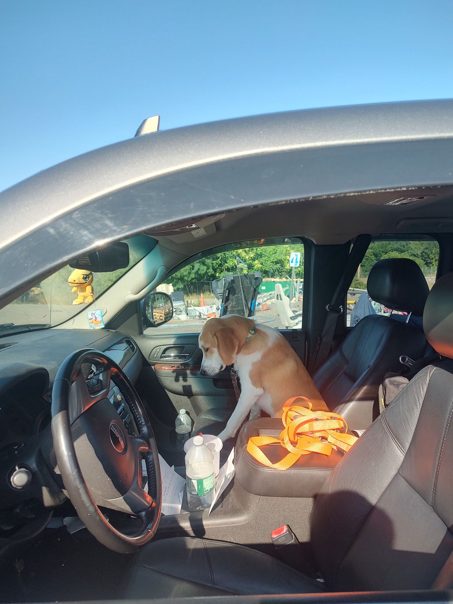 Dog sitting in the front passenger seat of a parked car with an orange blanket and a water bottle nearby
