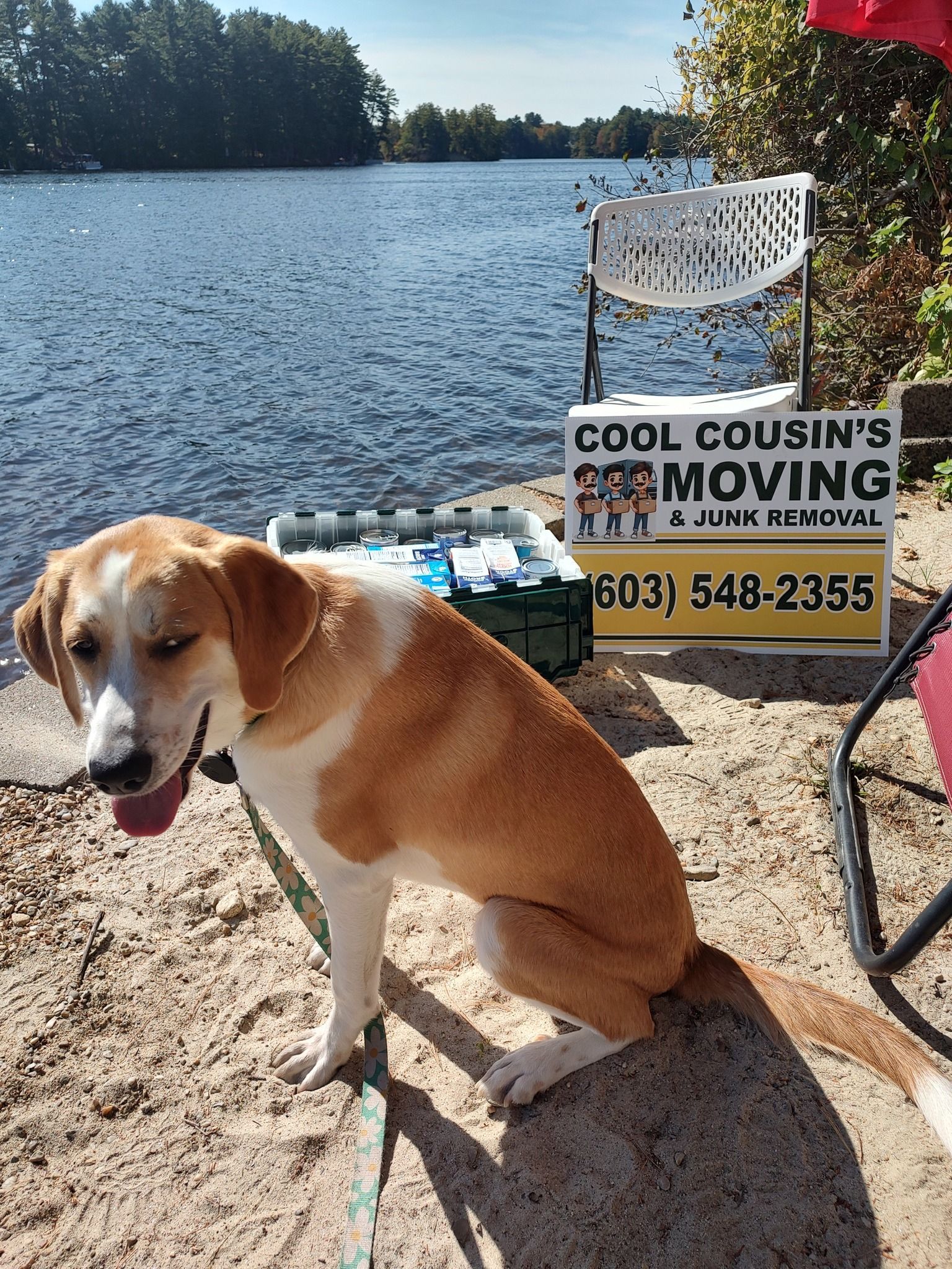 Tan-and-white dog sitting by a lake beside a moving company sign and chair